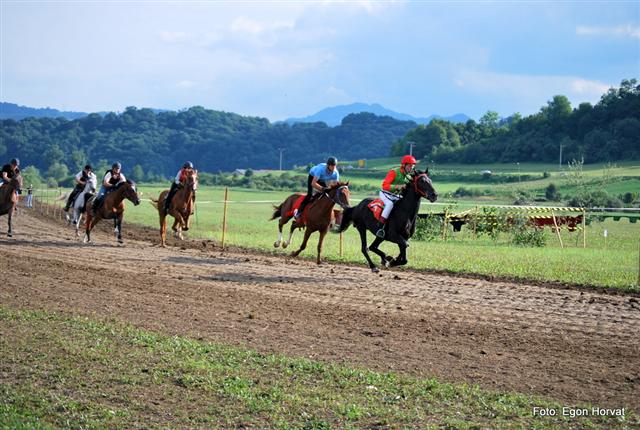 Dirka v polnem teku